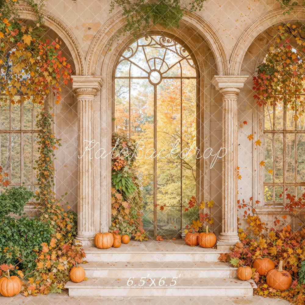 Kate Automne Arche Rétro Citrouilles Feuillage Toile de fond conçue par Emetselch - Kate Backdrop FR