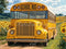 Kate Scolaire Bus Jaune Tournesols Toile de fond conçue par Emetselch - Kate Backdrop FR