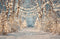 Kate Hiver Forêt Lumière Toile de fond en Laine conçue par Emetselch - Kate Backdrop FR