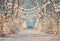 Kate Hiver Forêt Neige Lumières Toile de fond conçue par Emetselch - Kate Backdrop FR