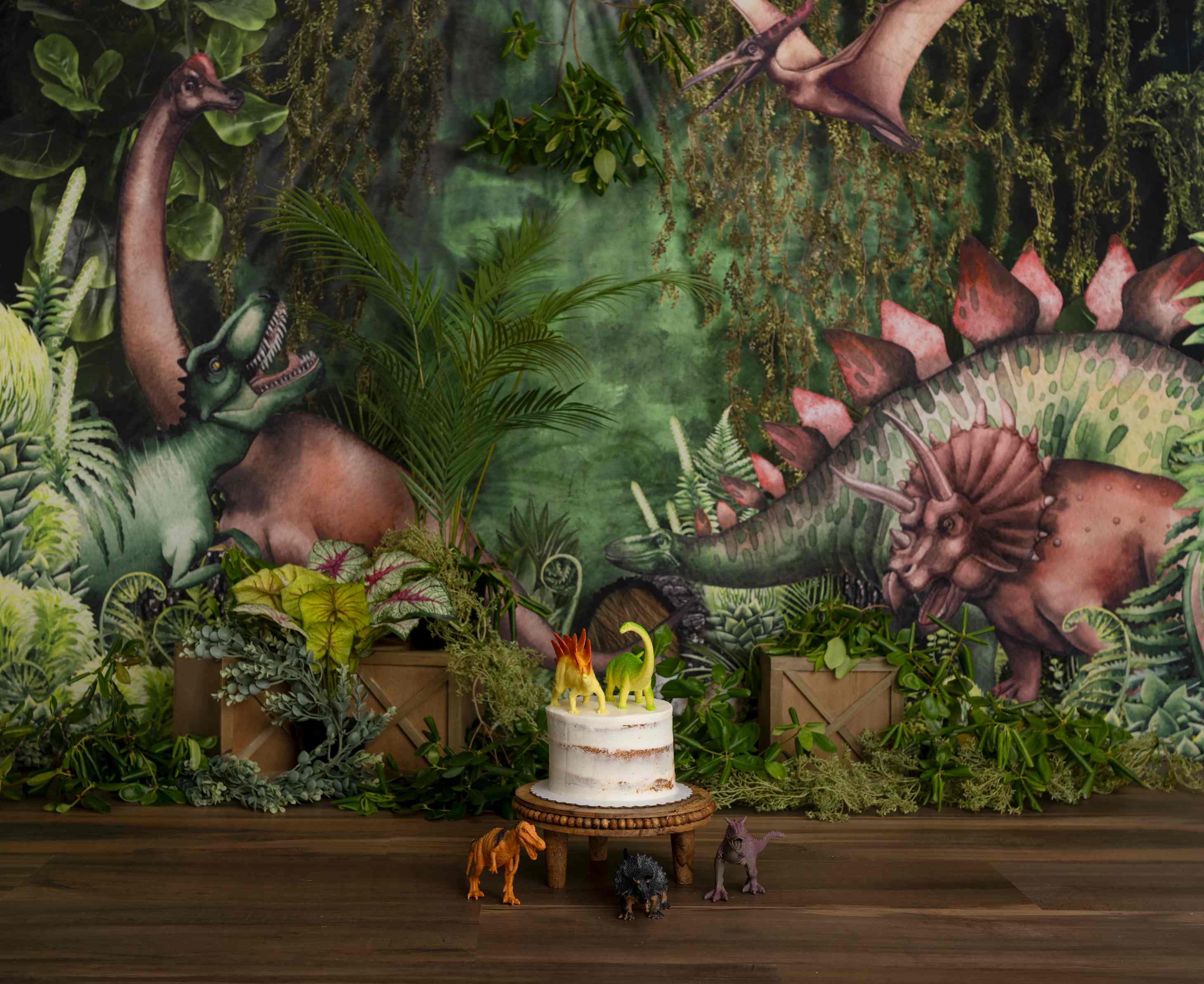 Kate Été Jungle Aventure Dinosaures Toile de fond conçue par Mandy Ringe - Kate Backdrop FR