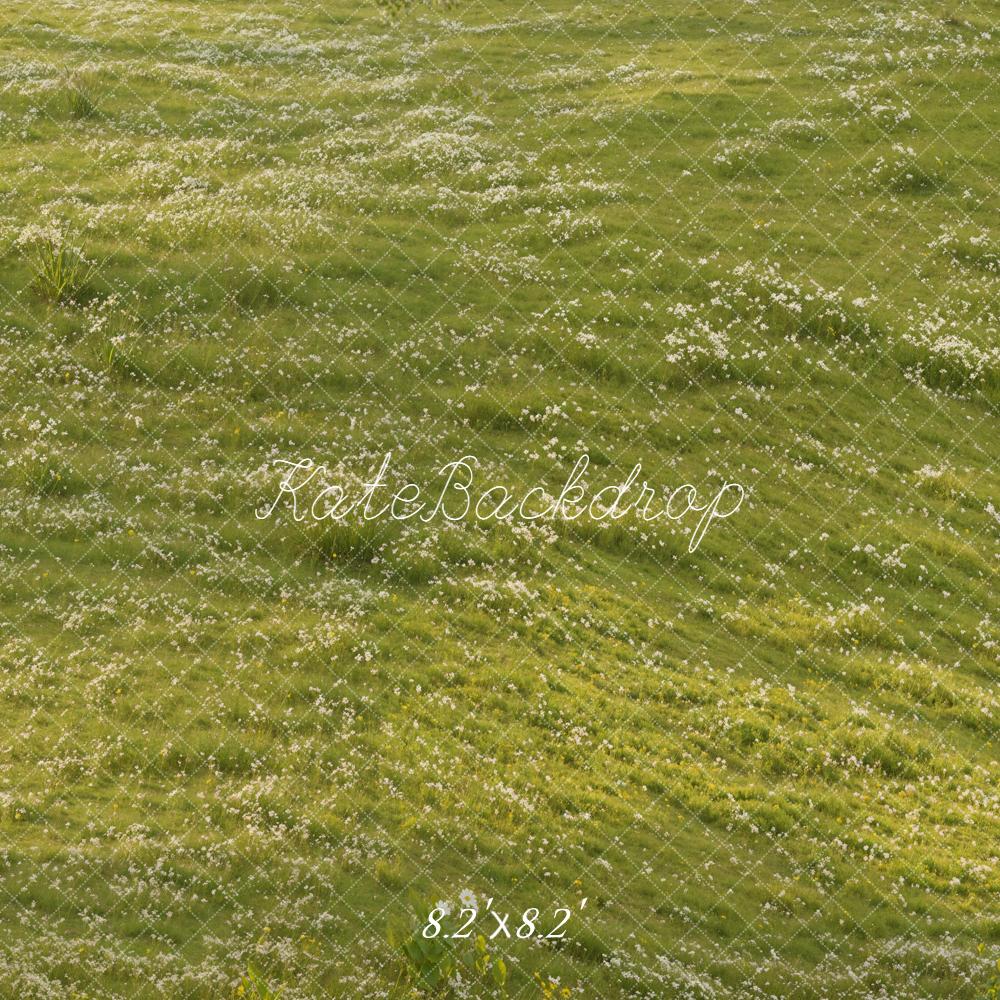 Kate Prairie Herbe Fleurs Sol Toile de fond conçue par Emetselch