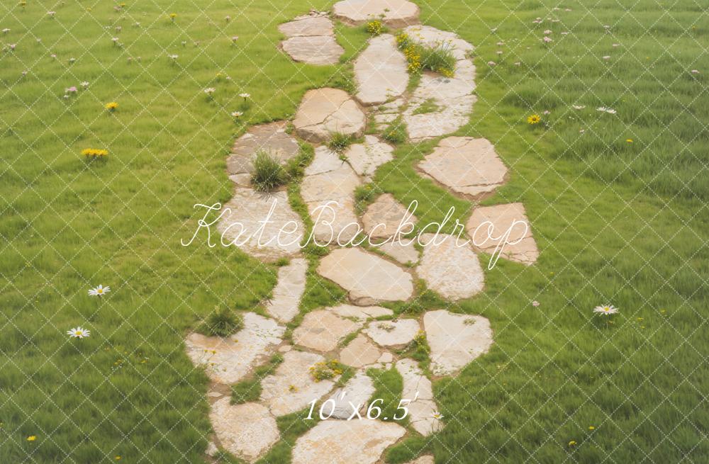 Kate Chemin Pierre Herbe Sol Toile de fond en Polar conçue par Emetselch