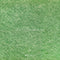 Kate Herbe Prairie Vert Sol Toile de fond conçue par Emetselch