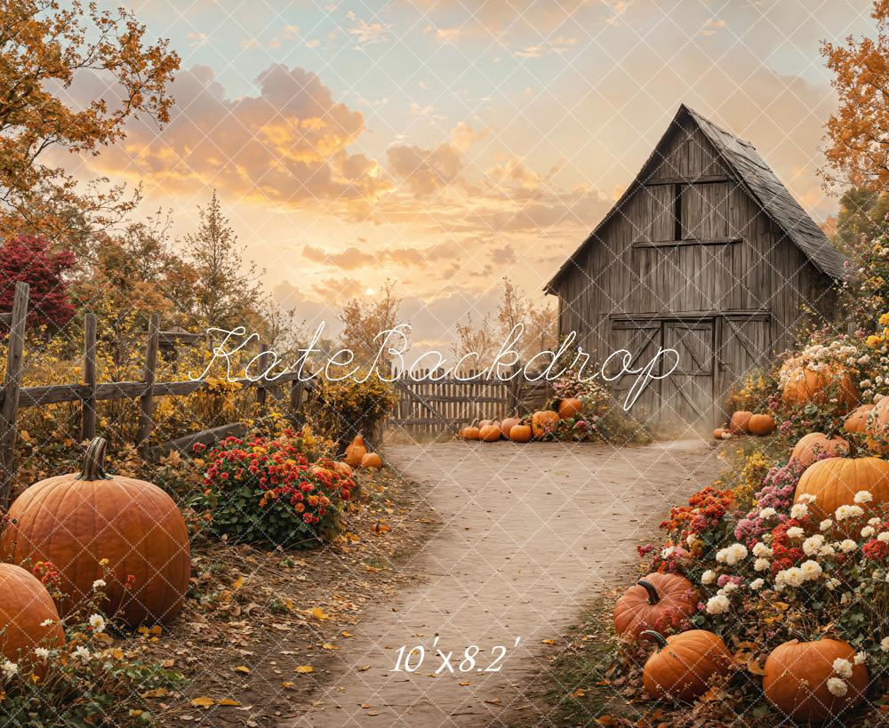 Kate Automne Grange Citrouilles Chemin Toile de fond conçue par Emetselch