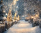 Kate Hiver Chemin Lumières Toile de fond en Laine conçue par Emetselch
