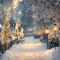 Kate Hiver Chemin Lampadaires Neige Toile de fond conçue par Emetselch