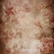 Kate Fleurs Roses Beige Vintage Toile de fond conçue par Emetselch - Kate Backdrop FR