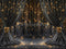 Kate Rideaux Noirs Dorés Lumière Toile de fond conçue par Emetselch - Kate Backdrop FR
