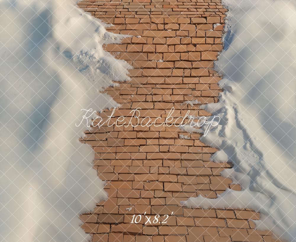 Kate Hiver Chemin Briques Neige Sol Toile de fond conçue par Emetselch - Kate Backdrop FR