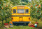 Kate Scolaire Bus Pommiers Livres Toile de fond conçue par Emetselch - Kate Backdrop FR