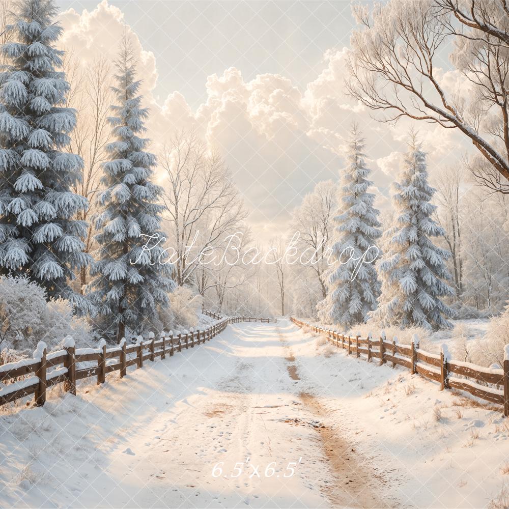 Kate Hiver Chemin Neige Sapins Toile de fond conçue par Emetselch - Kate Backdrop FR
