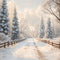 Kate Hiver Chemin Neige Sapins Toile de fond conçue par Emetselch - Kate Backdrop FR