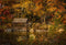 Kate Automne Lac Forêt Jaune Toile de fond pour la photographie - Kate Backdrop FR