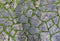 Kate Tapis de sol en caoutchouc Mur Pierre Route Mousse Imprimé par ordinateur - Kate Backdrop FR