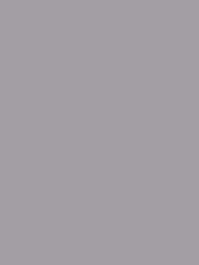 Katebackdrop£ºKate Solid Gray Cloth Photography Backdrop Portrait Photo
