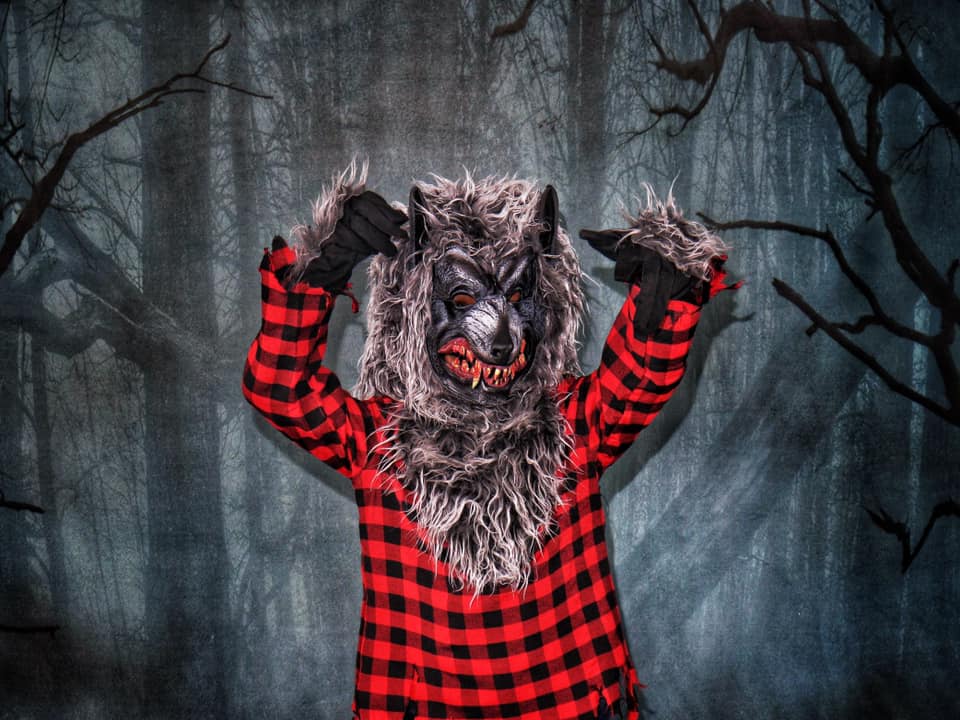 Kate Forêt de nuit effrayante d'Halloween Toile de fond conçue par Arica Kirby