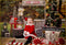 Kate Cacao chaud Extérieur Noël Toile de fond conçue par Mandy Ringe - Kate Backdrop FR