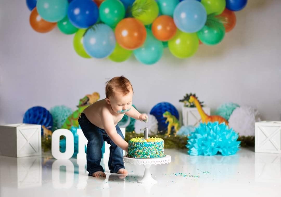 Kate Anniversaire Dinosaure Ballons Toile de fond conçue par Mandy Ringe Photographie