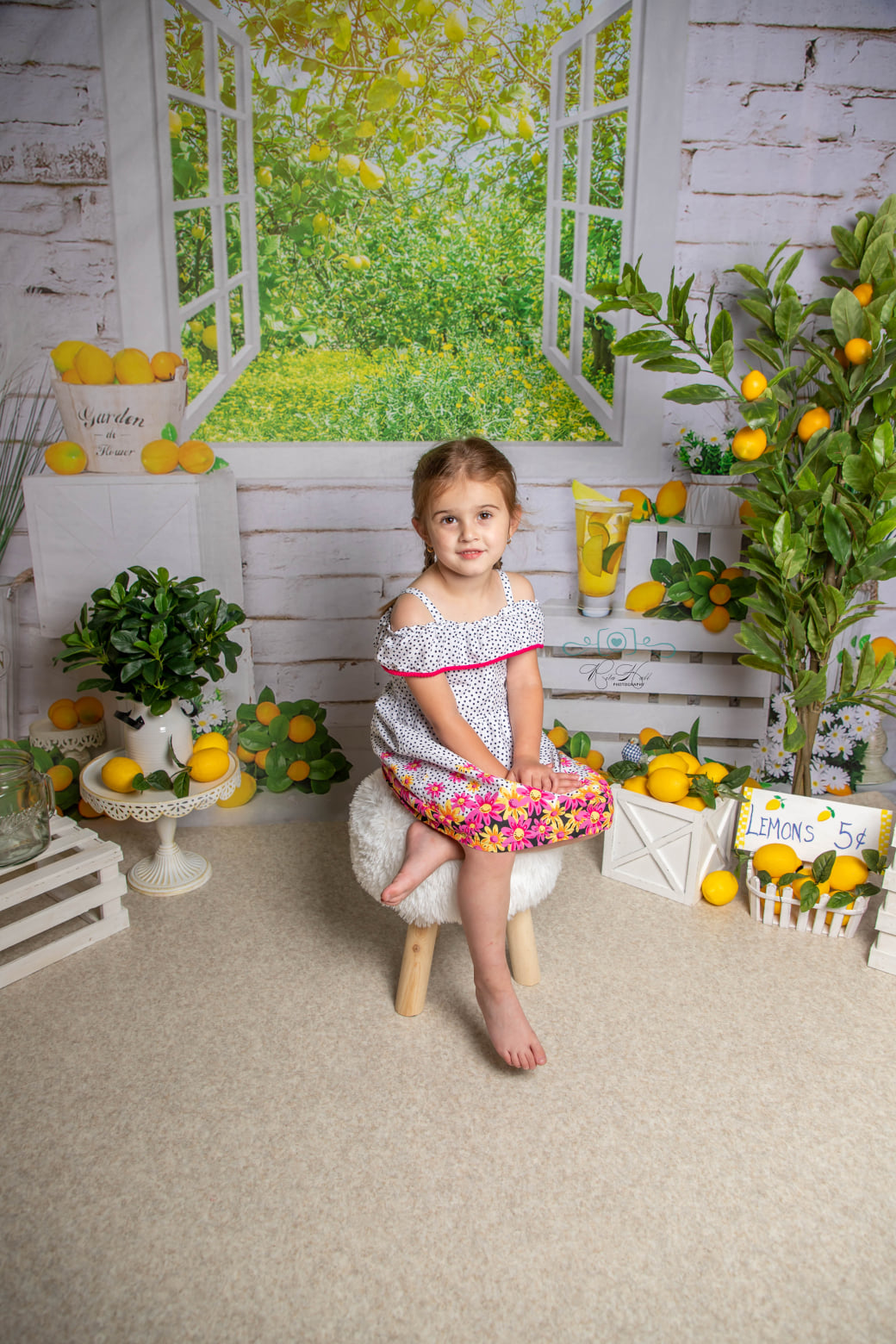 Kate Citrons Été Cake Smash Toile de fond conçue par Emetselch - Kate Backdrop FR