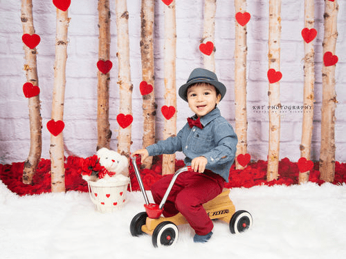 Katebackdrop£ºKate Valentine's Day Roses Wooden Stick Backdrop Designed by Jia Chan Photography