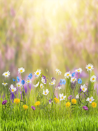 Katebackdrop：Kate Spring Natural Scenic Easter Colorful Flowers Photography Backdrop