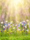 Katebackdrop：Kate Spring Natural Scenic Easter Colorful Flowers Photography Backdrop