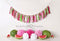Kate Anniversaire Pastèque Rose Vert Été Toile de fond conçue par Mandy Ringe - Kate Backdrop FR