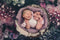 Kate Beaux-arts floraux grandes fleurs toile de fond pour la photographie - Kate Backdrop FR