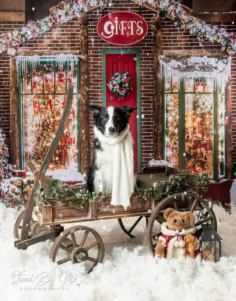 Kate Décorations Noël Cadeaux Neige Boutique Toile de fond pour la photographie - Kate Backdrop FR