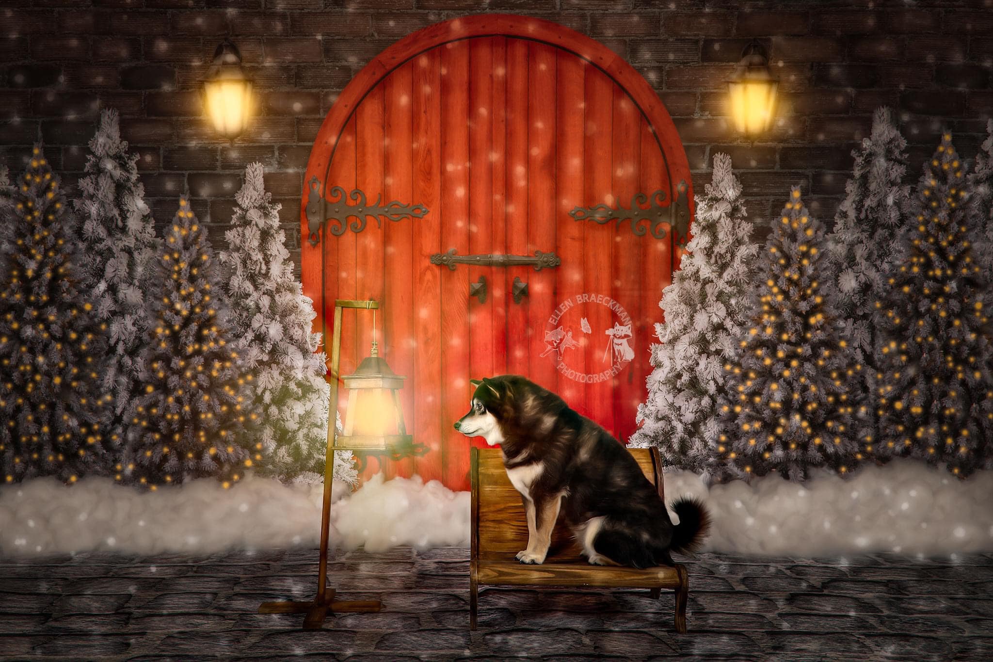 Kate Porte Rouge Noël Nuit Hiver Toile de fond conçue par Jerry_Sina