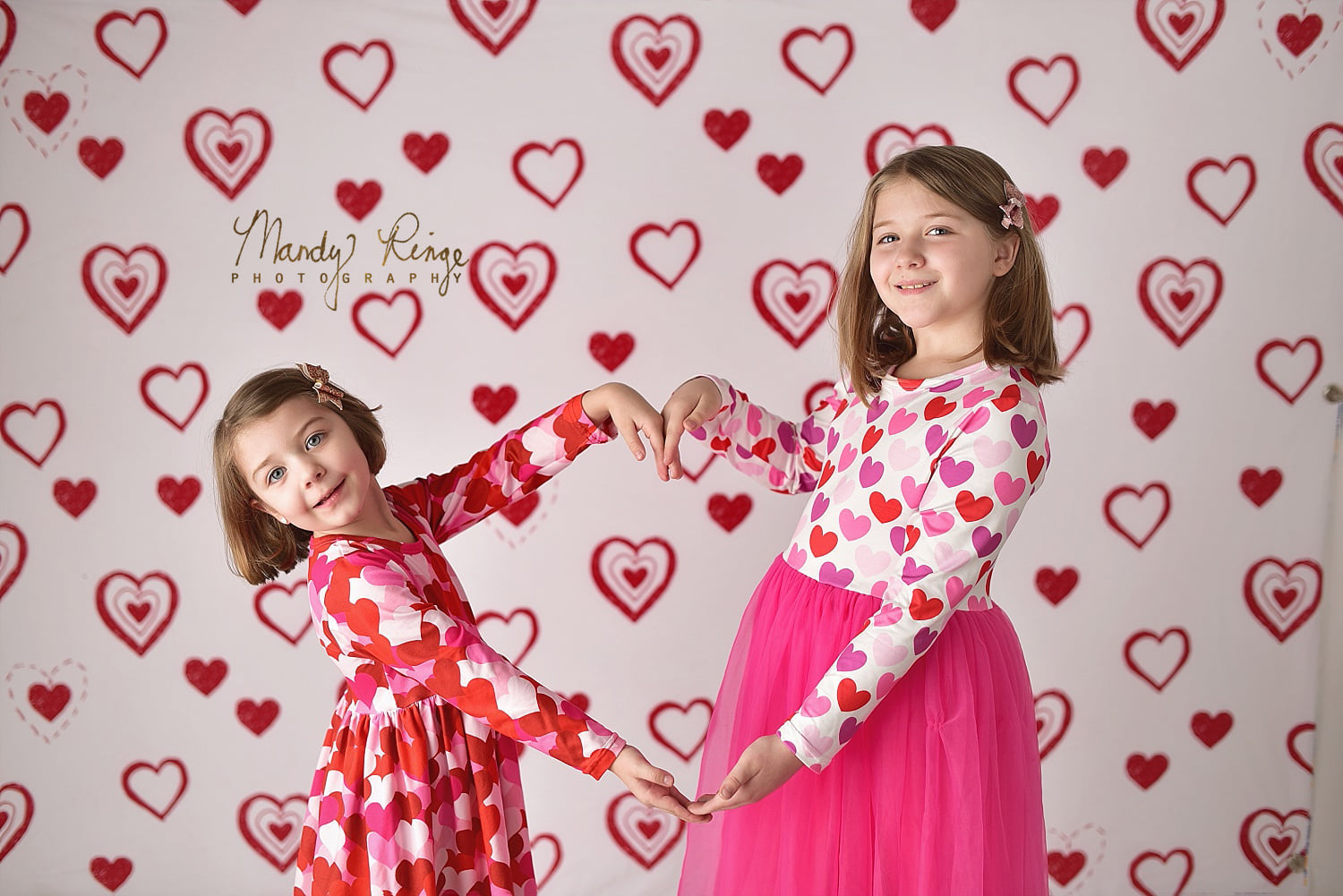 Kate Griffonnages Rouge Coeur Saint-Valentin Toile de fond conçue par Mandy Ringe - Kate Backdrop FR