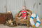 Kate Murale Rétro Bois Blanc Plancher Toile de fond - Kate Backdrop FR