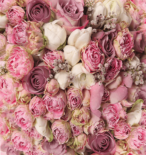 Katebackdrop：Kate Pink White Florals For Wedding Photo Studio Valentine's Day Backdrops