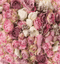 Katebackdrop：Kate Pink White Florals For Wedding Photo Studio Valentine's Day Backdrops