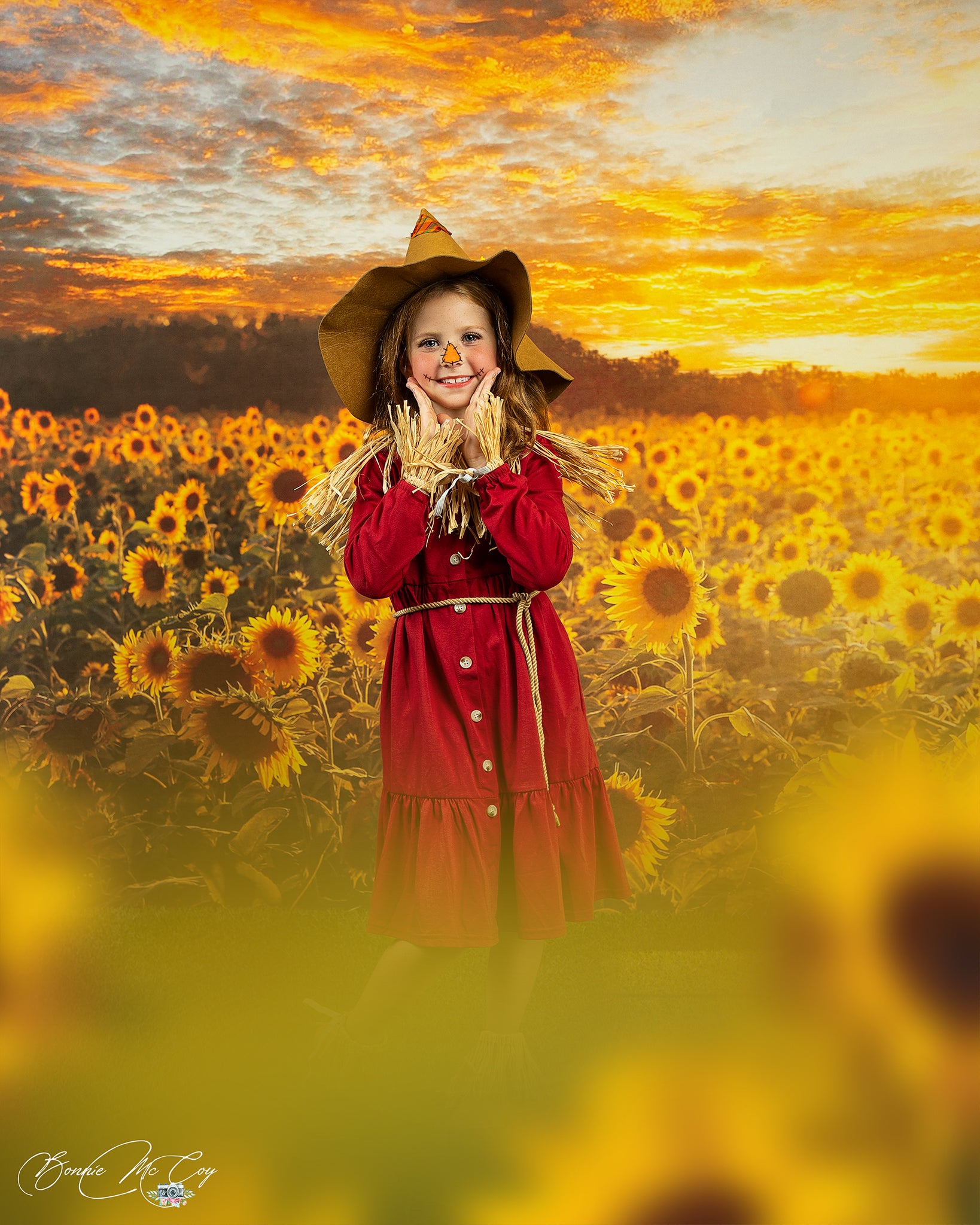 Kate Coucher de soleil Champ de tournesol Automne Toile de fond Conçu par Chain Photographie - Kate Backdrop FR