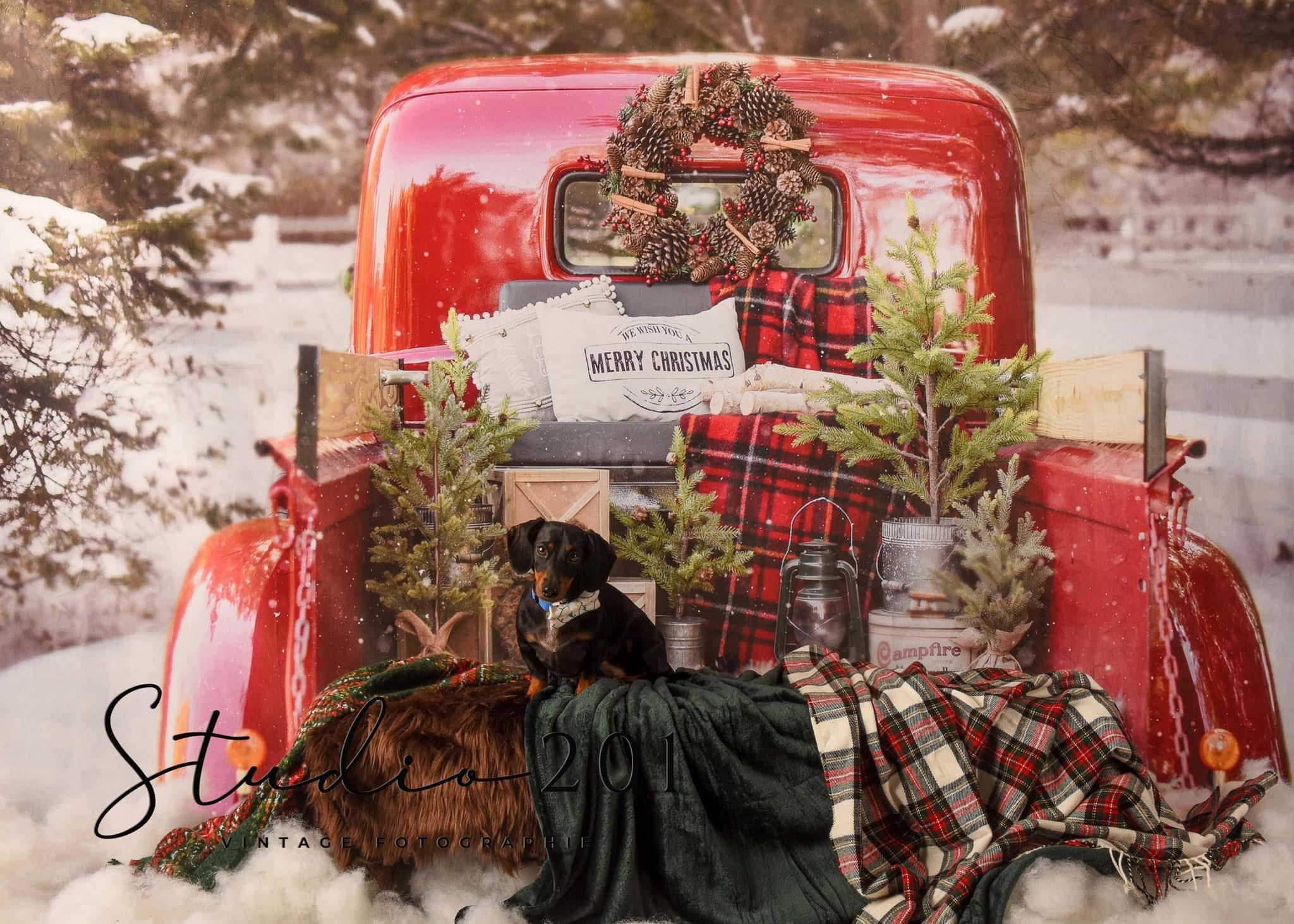 Kate Noël Rouge Camion Neige Hiver Toile de Fond conçue par Mandy Ringe - Kate Backdrop FR