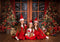 Kate Arbres Fenêtre Noël Toile de fond pour la photographie - Kate Backdrop FR