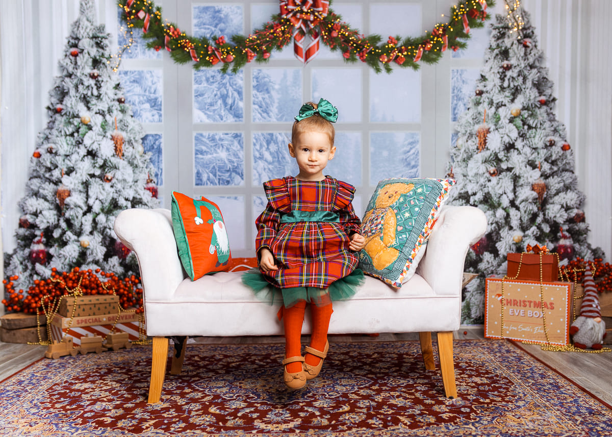 Kate Fenêtre Blanc Hiver Sapin de Noël Toile de fond Conçu par Chain Photographie - Kate Backdrop FR
