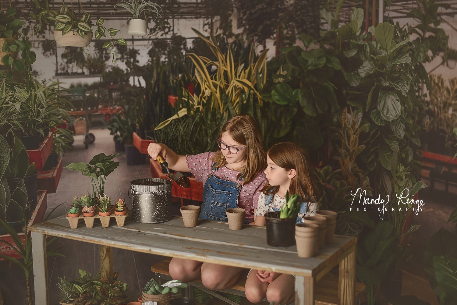 Kate Serre Intérieur Printemps Plante Vert Toile de fond conçue par Mandy Ringe - Kate Backdrop FR