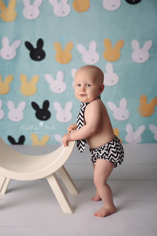 Katebackdrop£ºKate Rabbits Easter Backdrop for Photography designed by Jerry_Sina