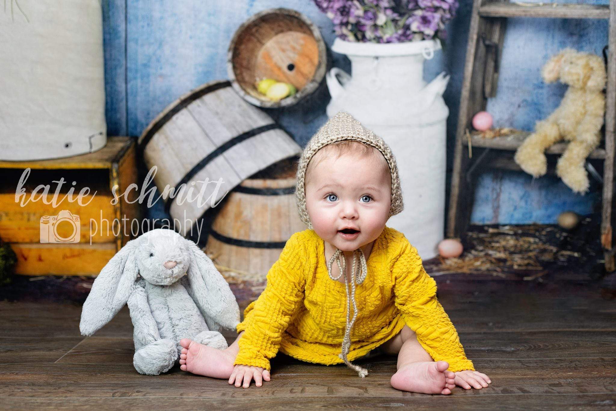 Katebackdrop£ºKate Blue Easter Chicken Coop backdrop designed by Arica Kirby
