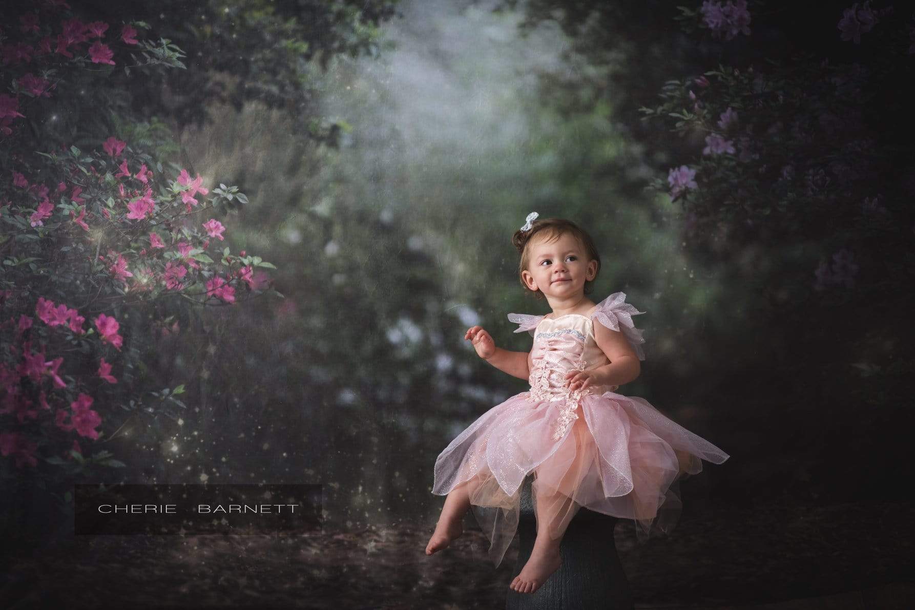 Katebackdrop£ºKate Pink Floral Garden Fairy Lights spring Backdrop for Photography Designed by Pine Park Collection