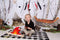 Katebackdrop£ºKate Children Blissfully Birchbark Backdrop for Photography designed by Arica Kirby