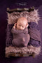 Katebackdrop£ºKate Dark Purple Abstract Backdrop for Photography