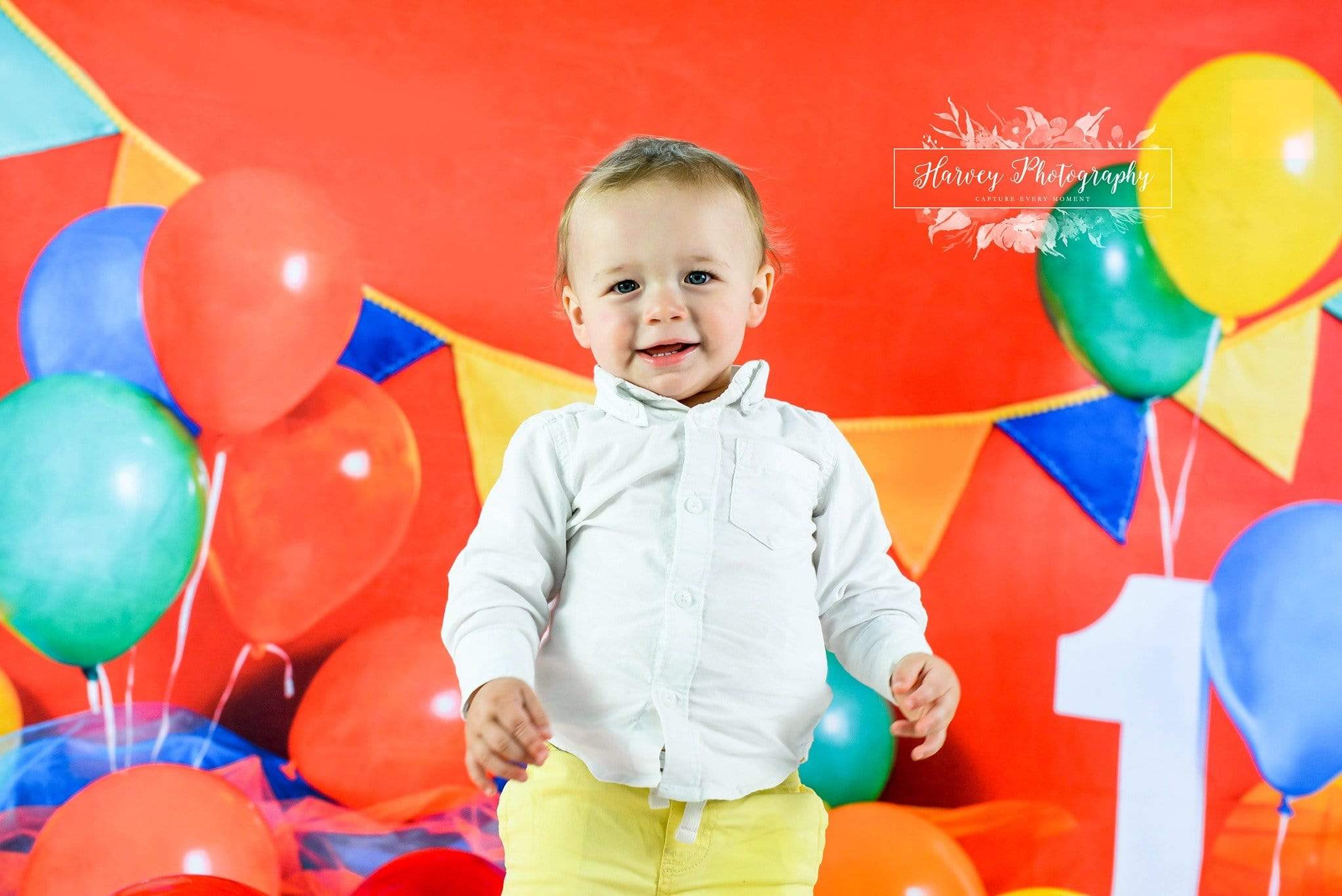 Katebackdrop£ºKate Primary 1st Birthday Backdrop for Photography Designed by Keerstan Jessop