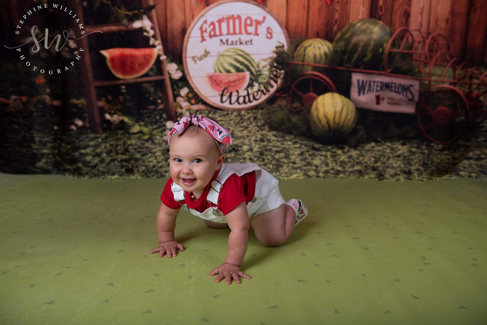 Katebackdrop£ºKate Sunset Fence With Watermelons Children Backdrop for Photography Designed by Stephanie Gabbard