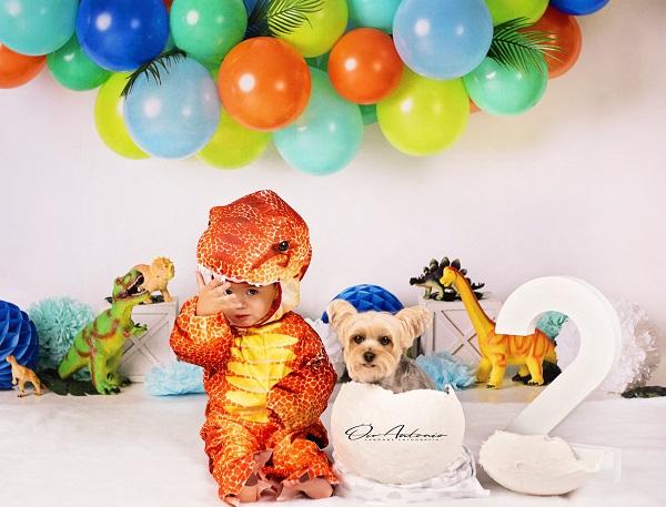 Kate Anniversaire Dinosaure Ballons Toile de fond conçue par Mandy Ringe Photographie