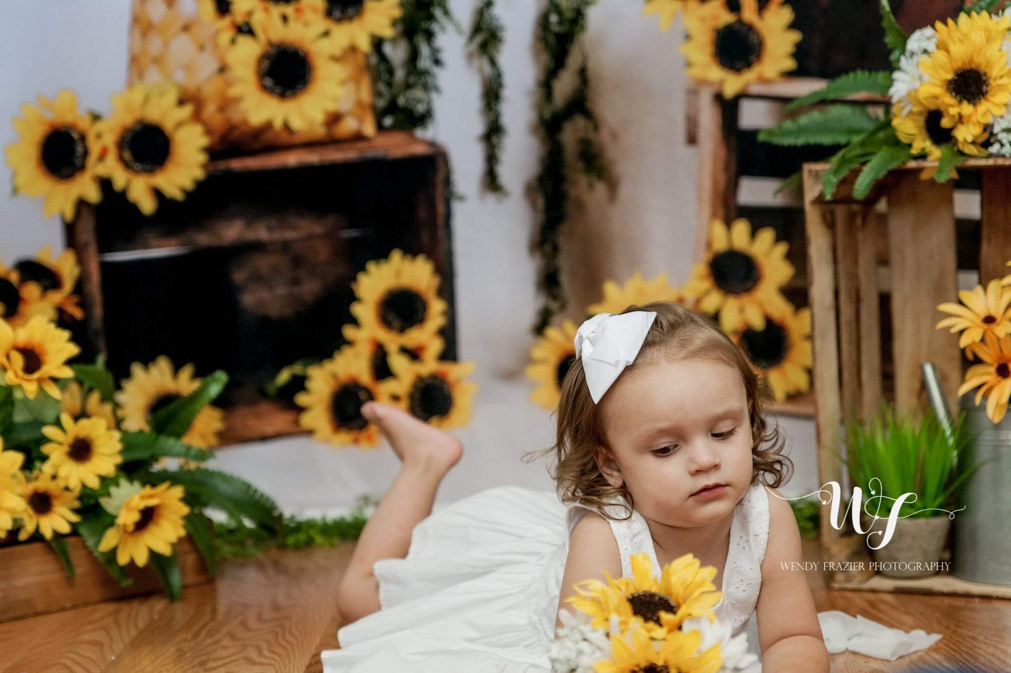 Katebackdrop£ºKate Sunflower Summer Backdrop for Photography Designed by Keerstan Jessop