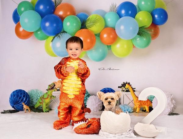 Kate Anniversaire Dinosaure Ballons Toile de fond conçue par Mandy Ringe Photographie
